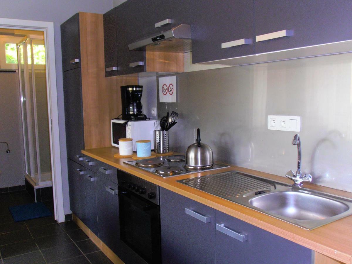 Studio Le Vedeur Avec Balcon Vue Sur Riviere Durbuy Eksteriør bilde